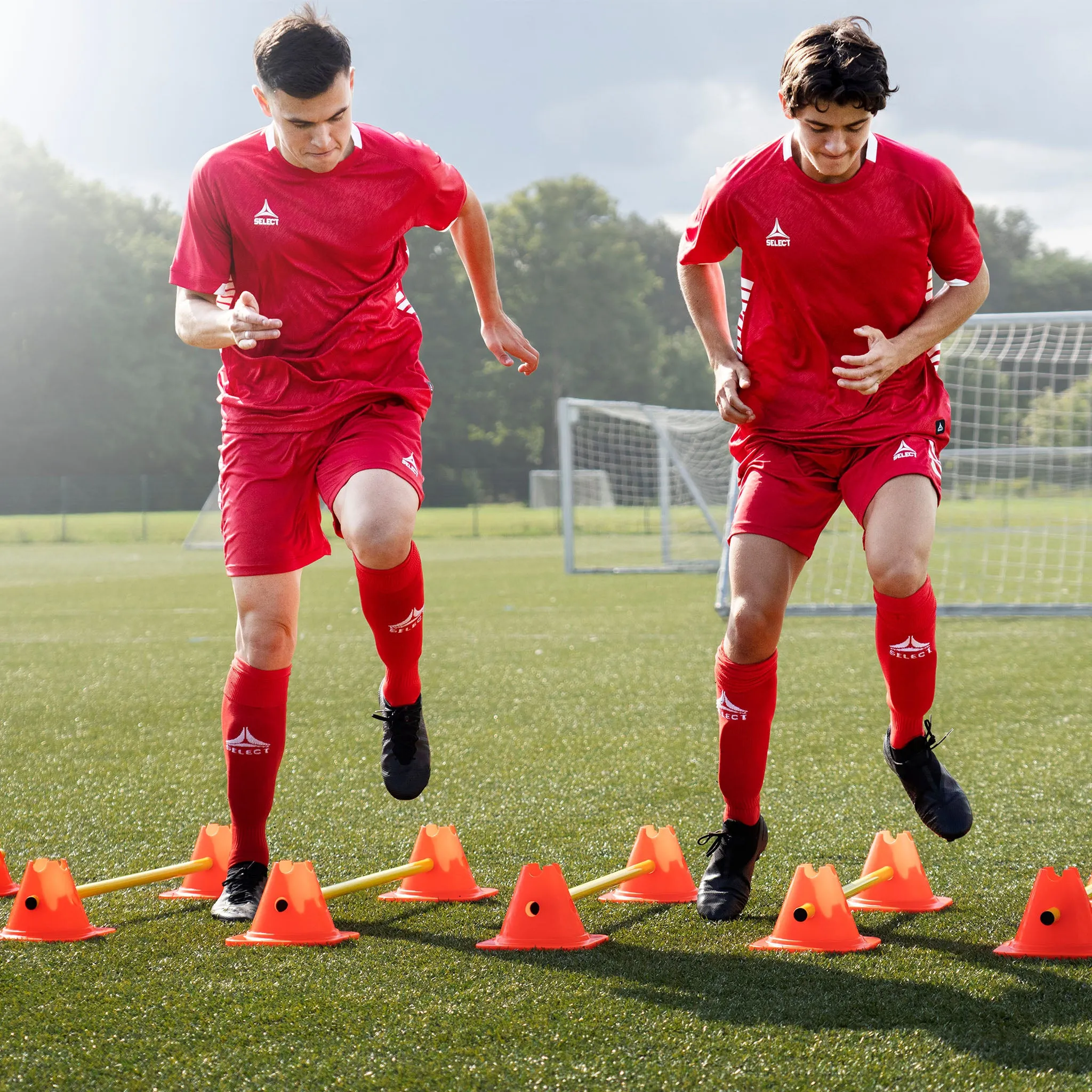 Agility set with cones and poles