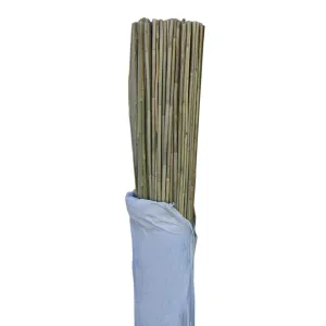 Bamboo Stakes