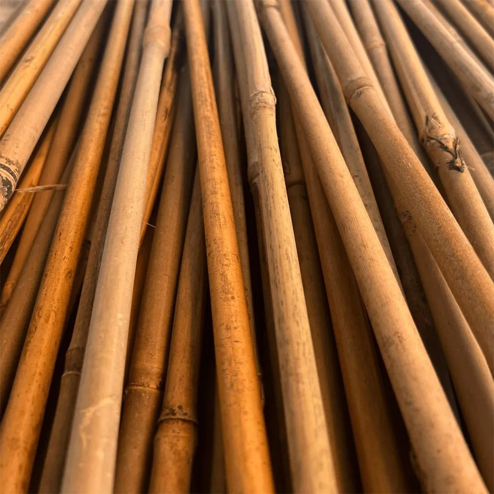 Bamboo Stakes