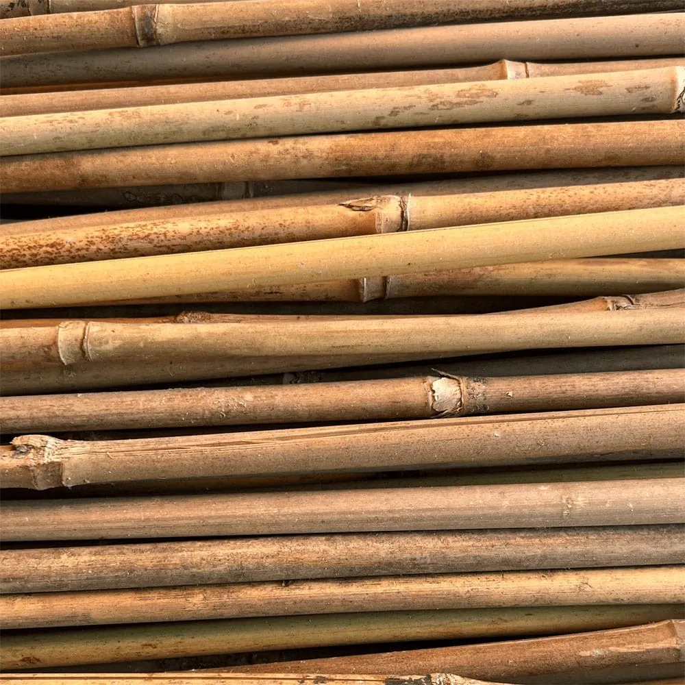 Bamboo Stakes