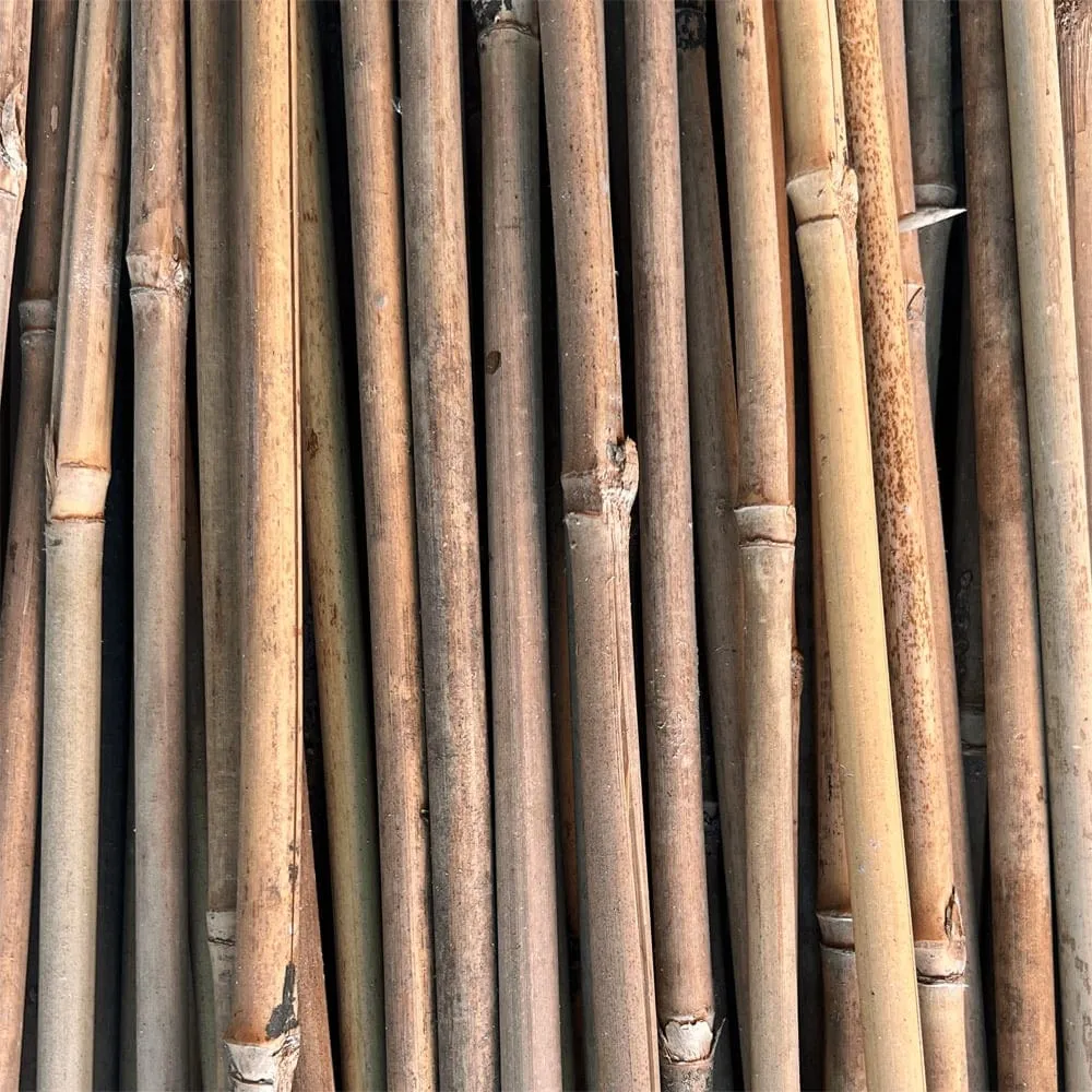 Bamboo Stakes