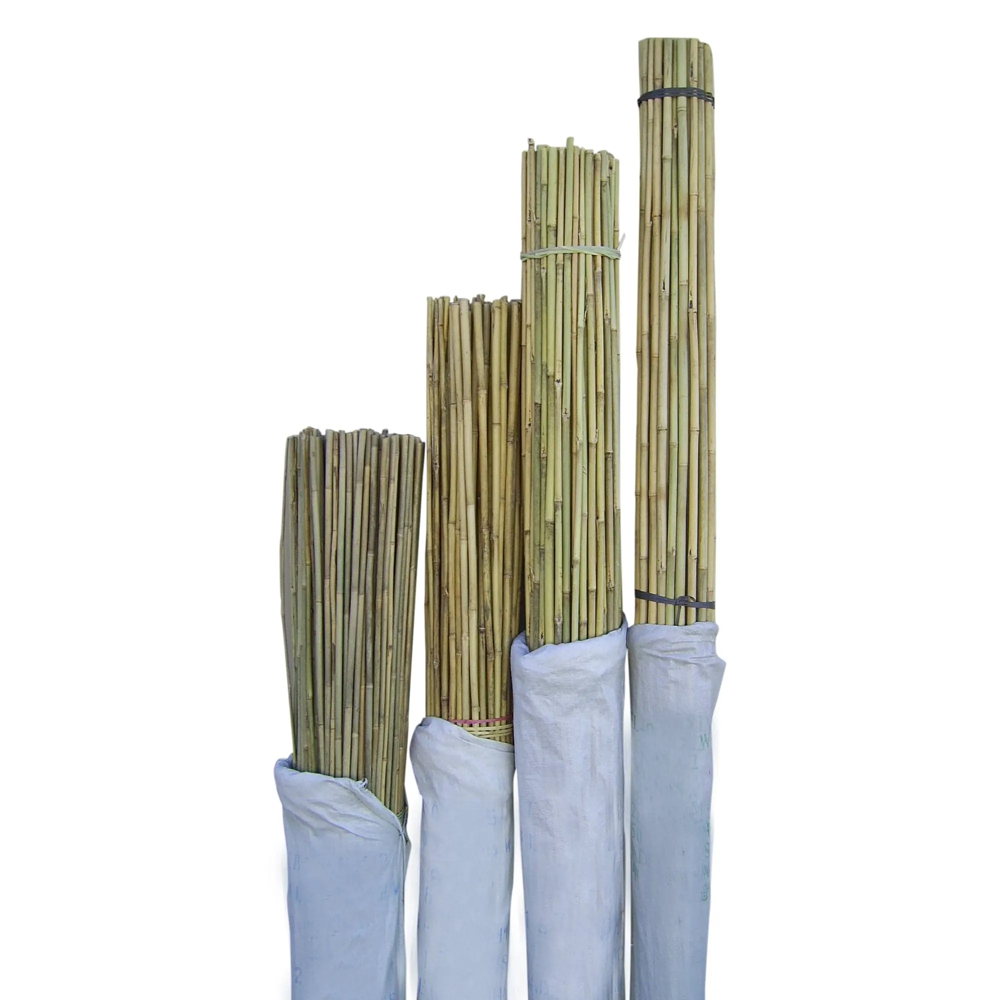 Bamboo Stakes