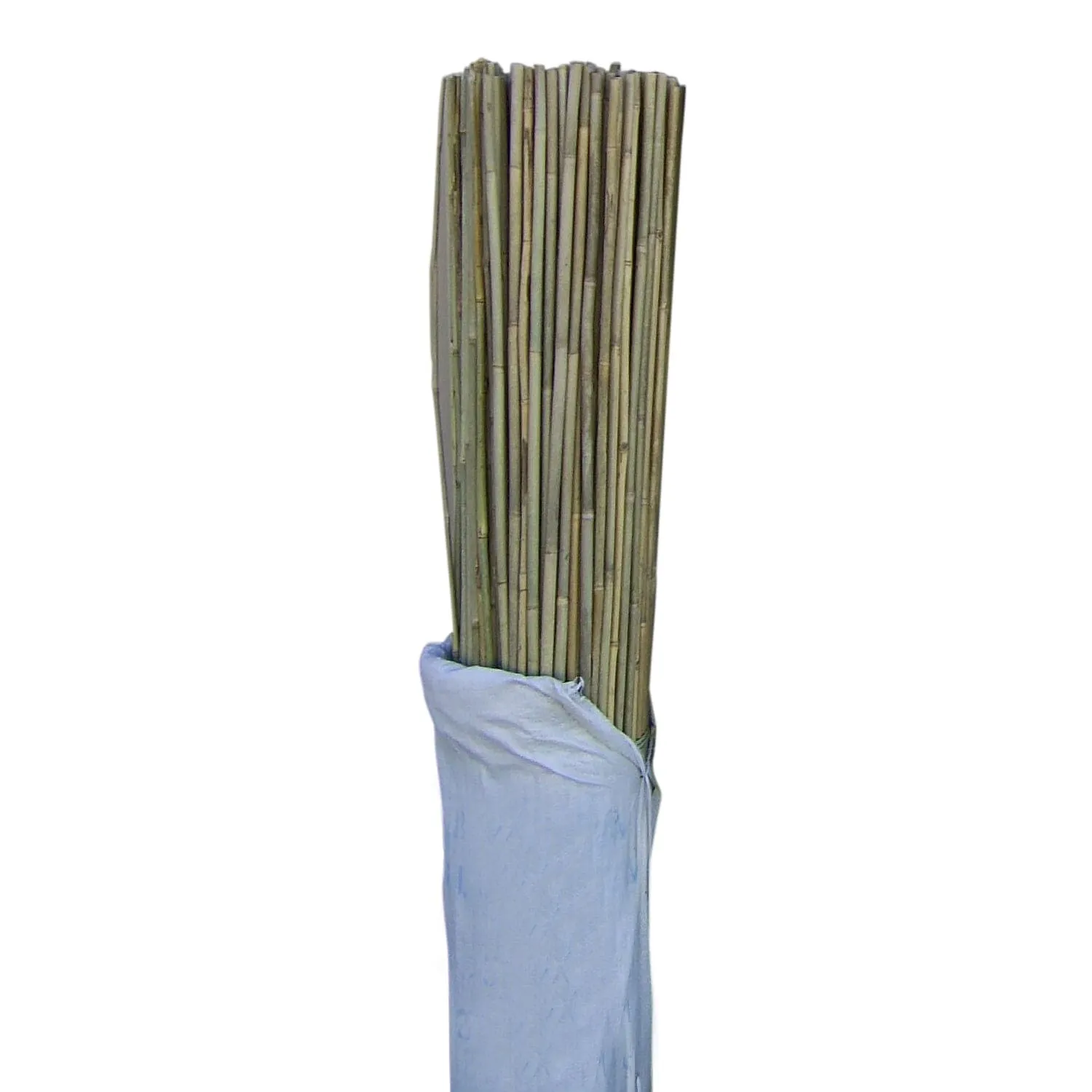 Bamboo Stakes