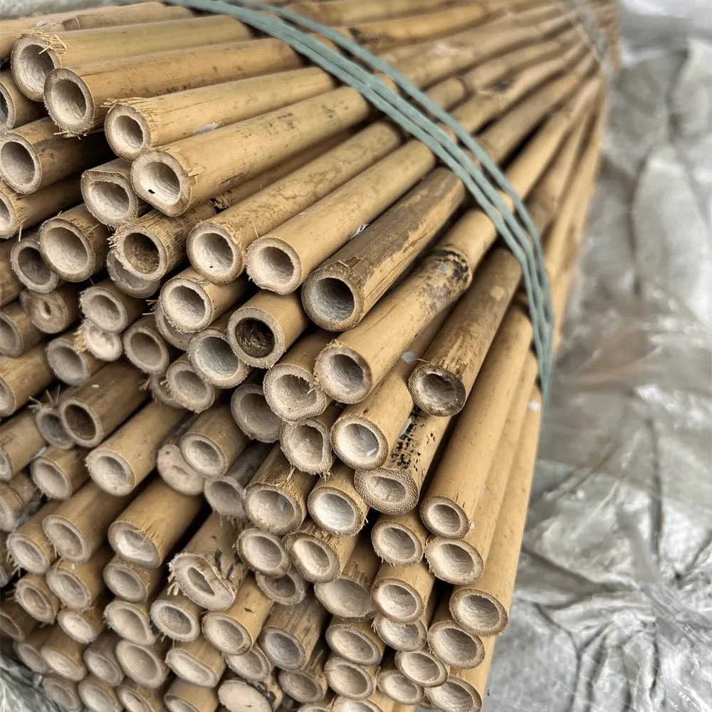 Bamboo Stakes