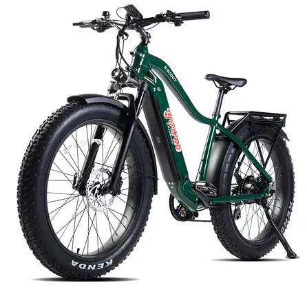 E-Joe 750W 48V Young Electric E-Scout All Terrain Fat Tire Electric Bike