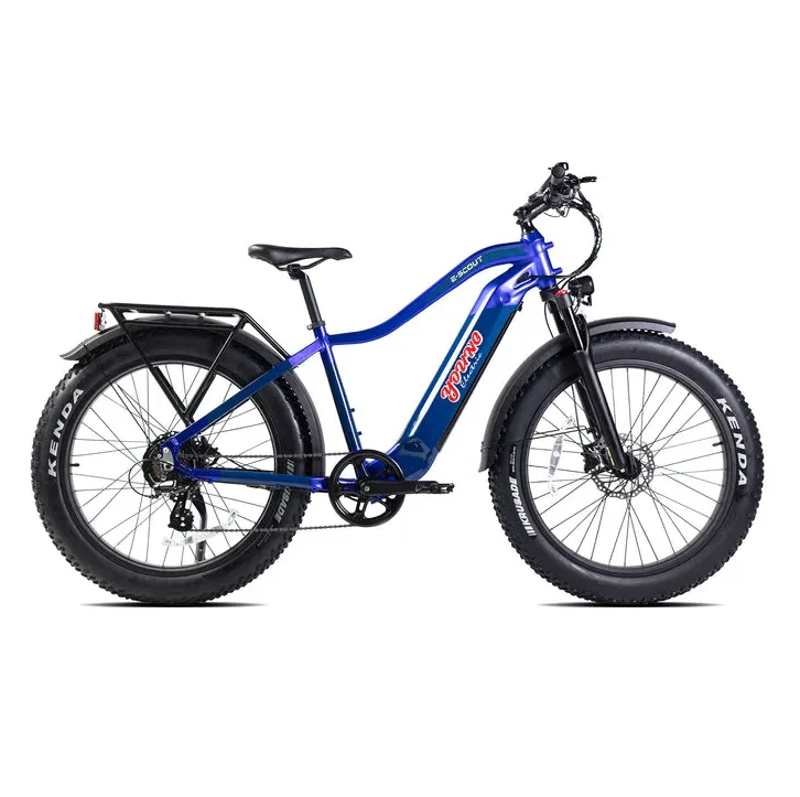 E-Joe 750W 48V Young Electric E-Scout All Terrain Fat Tire Electric Bike