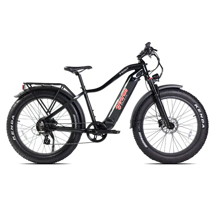 E-Joe 750W 48V Young Electric E-Scout All Terrain Fat Tire Electric Bike