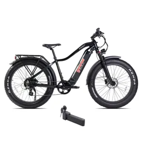 E-Joe 750W 48V Young Electric E-Scout All Terrain Fat Tire Electric Bike