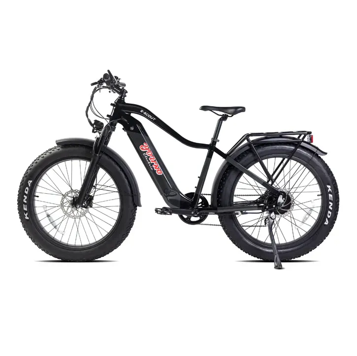 E-Joe 750W 48V Young Electric E-Scout All Terrain Fat Tire Electric Bike