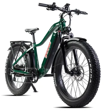 E-Joe 750W 48V Young Electric E-Scout All Terrain Fat Tire Electric Bike