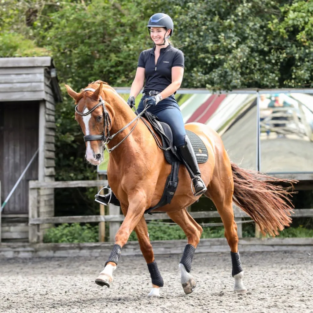 Equilibrium Stretch and Flex Flatwork Wraps NEW