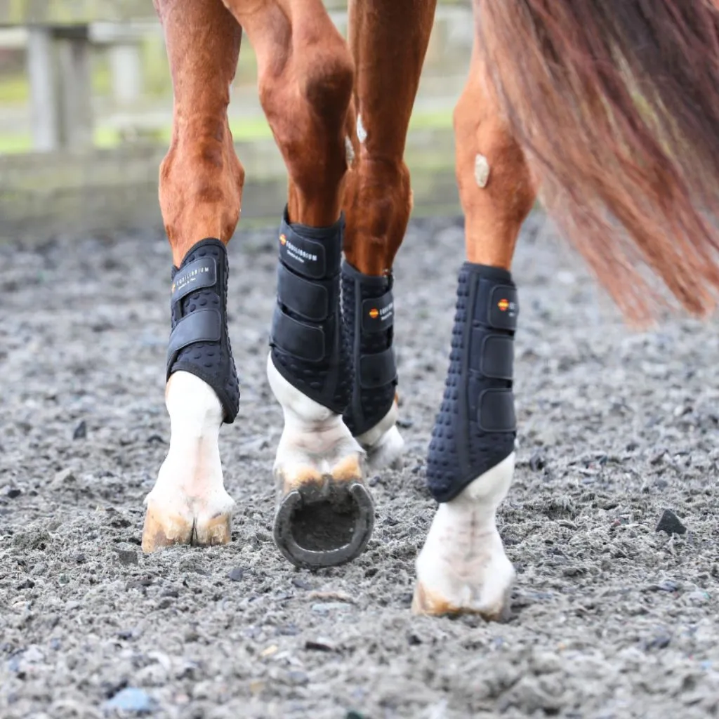 Equilibrium Stretch and Flex Flatwork Wraps NEW