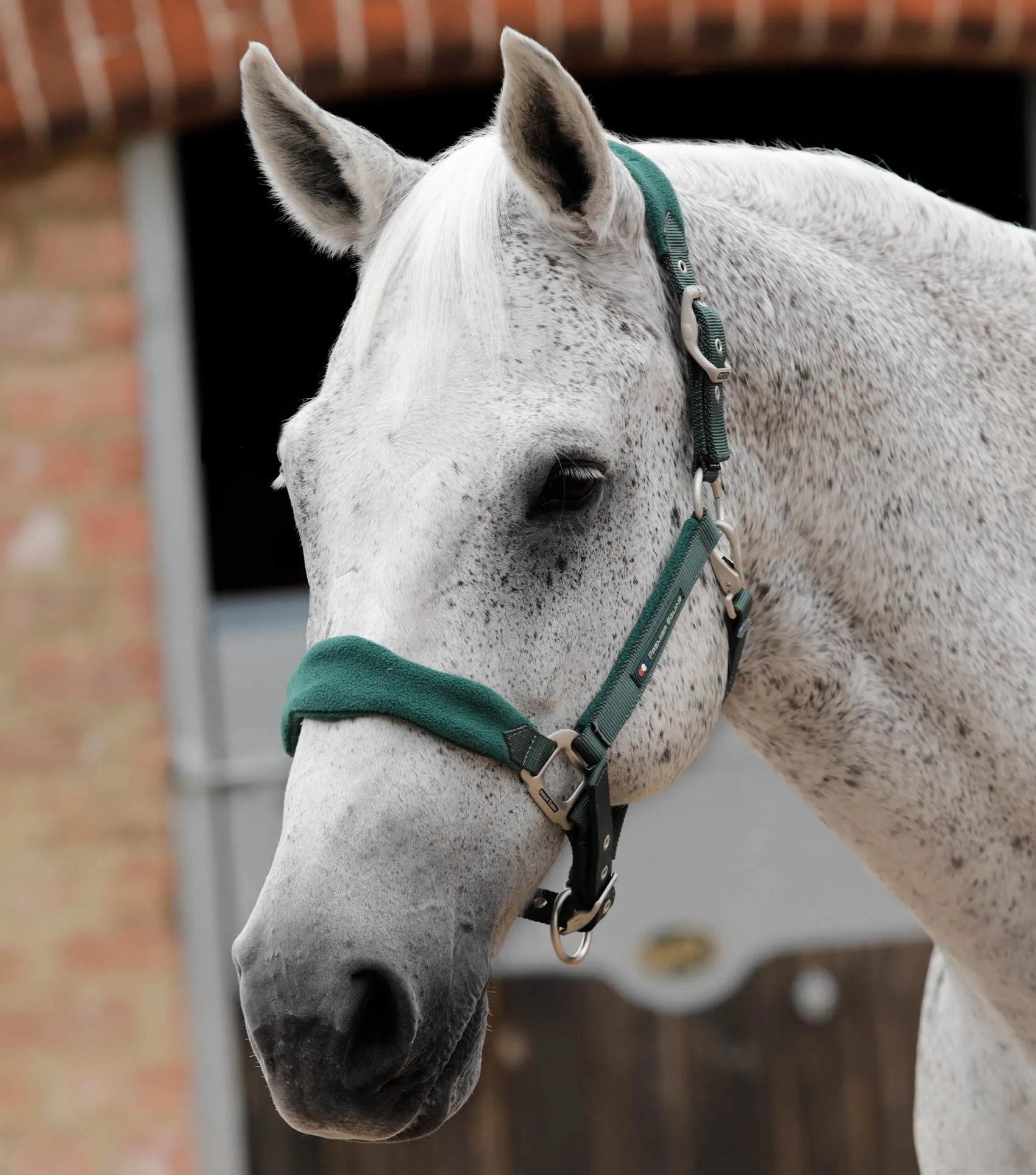 Fleece Padded Horse Head Collar Green