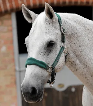 Fleece Padded Horse Head Collar Green