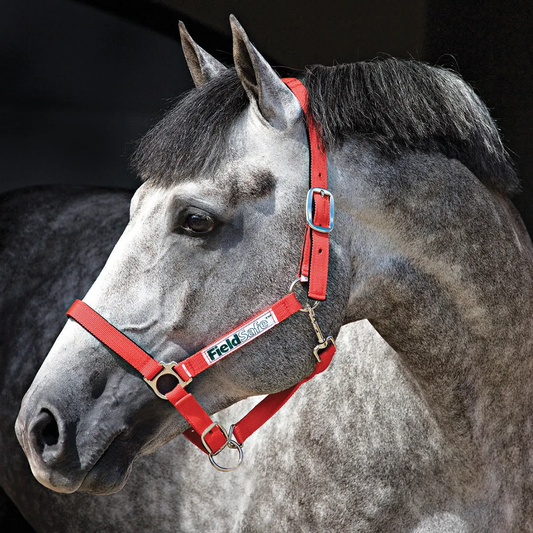 Horseware Ireland Field Safe Headcollar