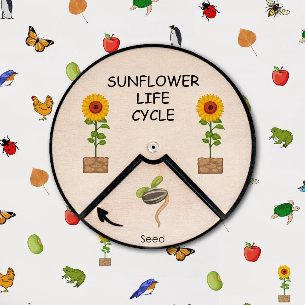 Learning Wheels - Plant Lifecycles