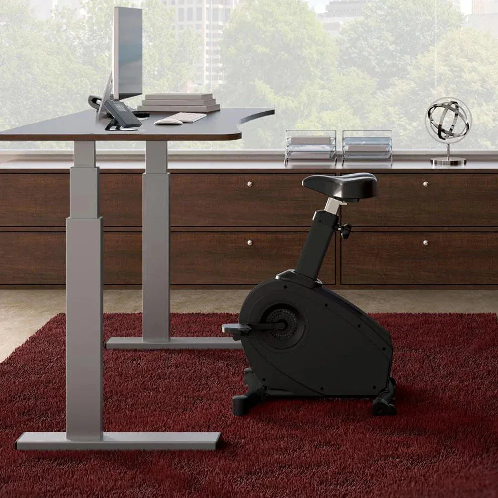 LifeSpan Under Desk Bike C3-SC110