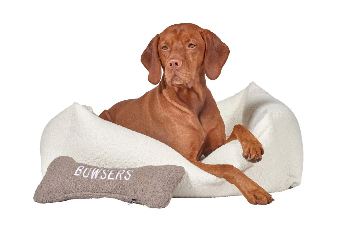 Lounger - The Franklin Milkshake - Dog Bed