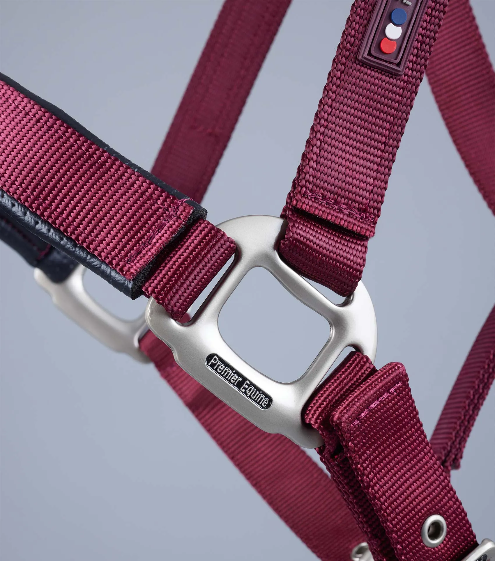 Plain Padded Horse Head Collar Burgundy