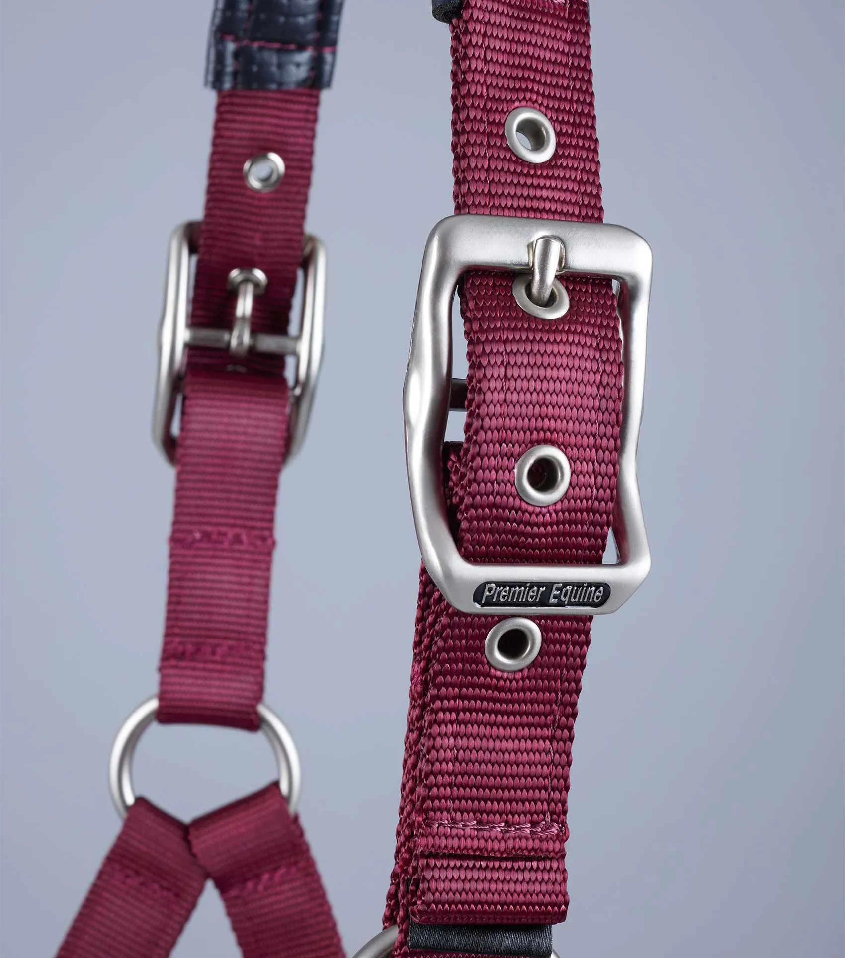 Plain Padded Horse Head Collar Burgundy