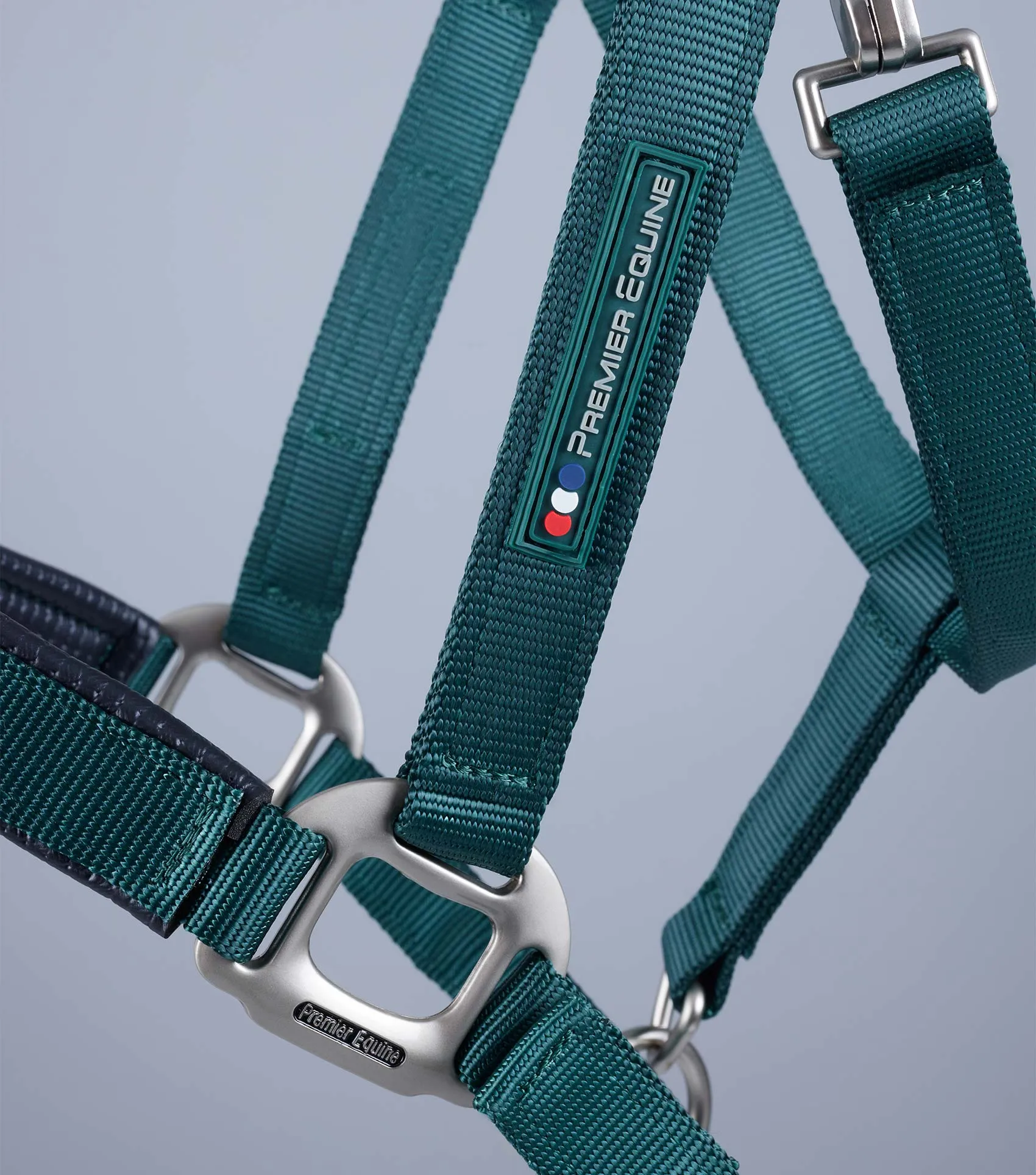 Plain Padded Horse Head Collar Green