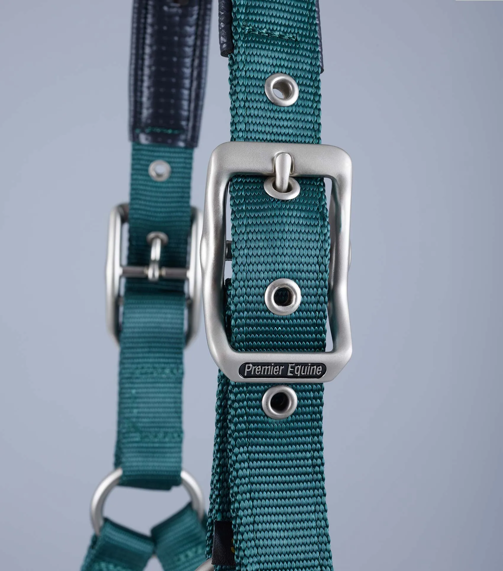 Plain Padded Horse Head Collar Green