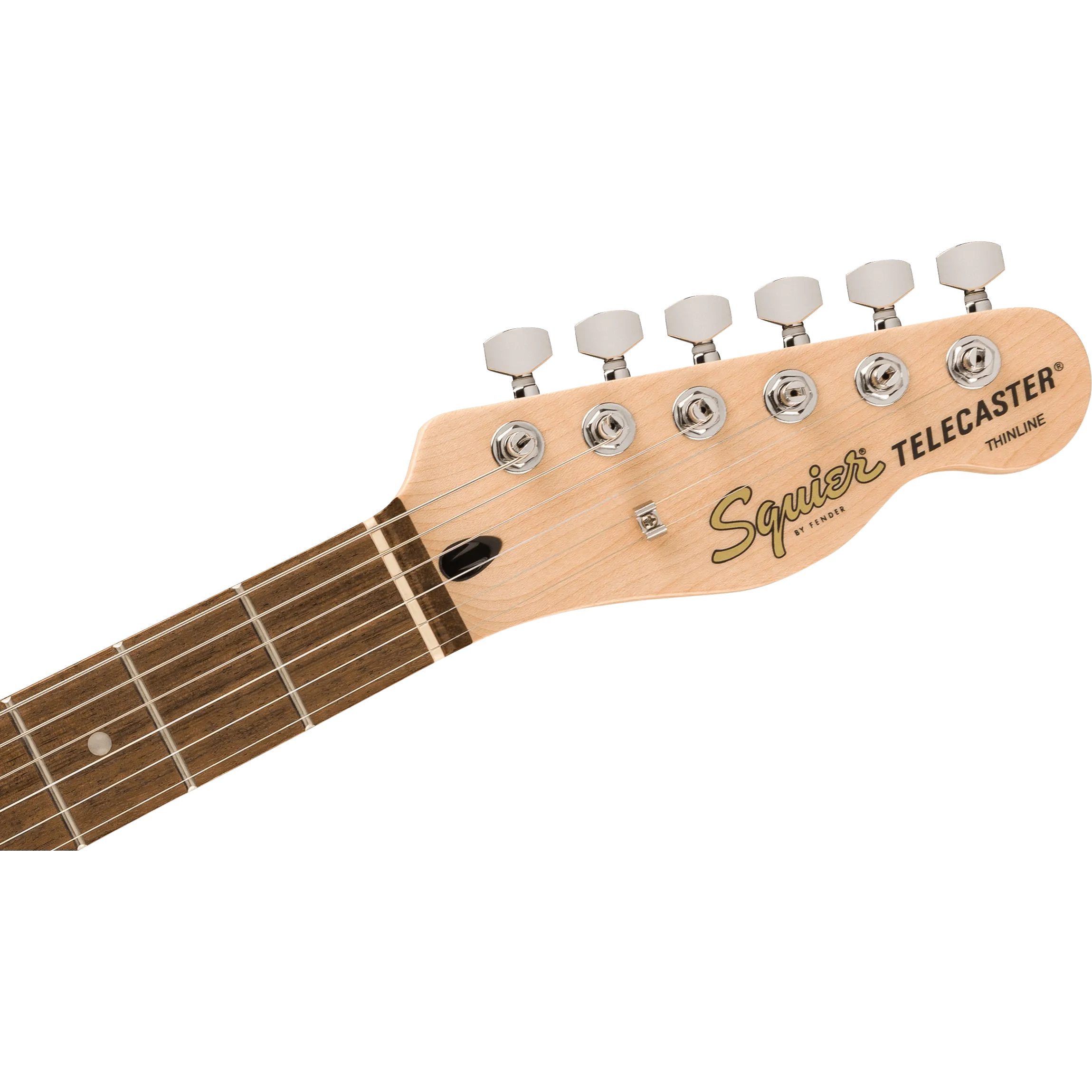 Squier Affinity Series™ Telecaster® Thinline Laurel Fingerboard in Olympic White