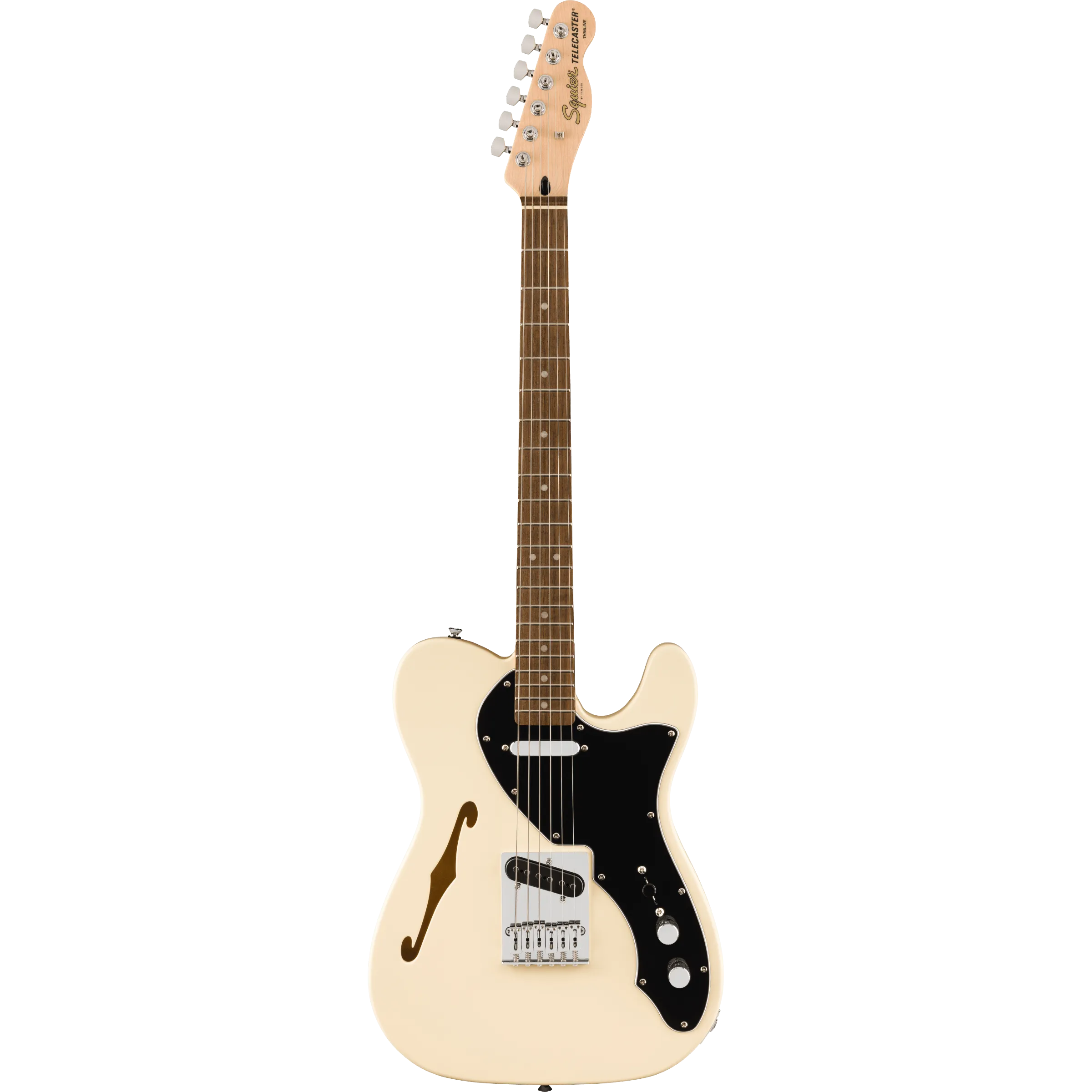 Squier Affinity Series™ Telecaster® Thinline Laurel Fingerboard in Olympic White