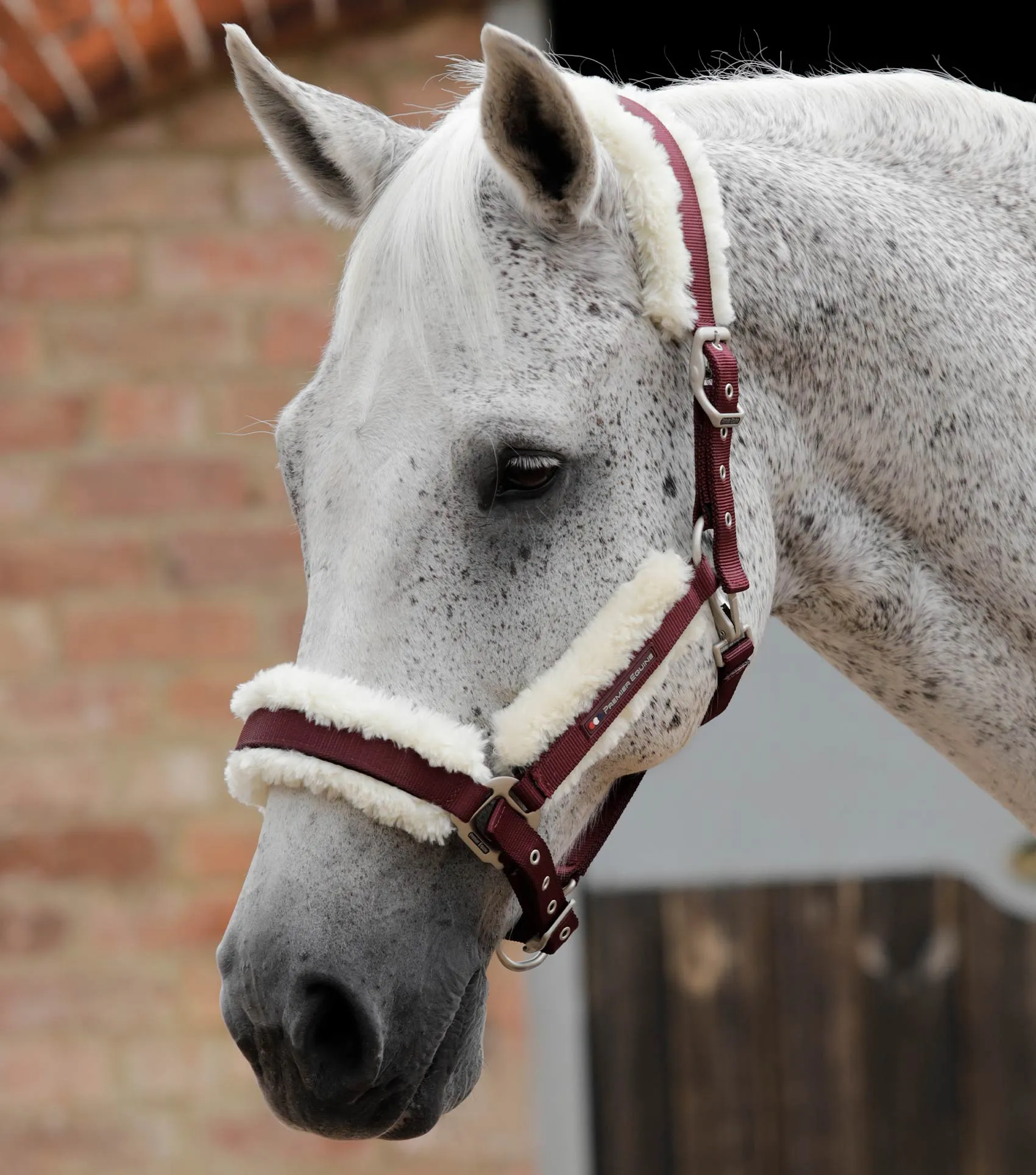 Techno Wool Lined Head Collar Burgundy