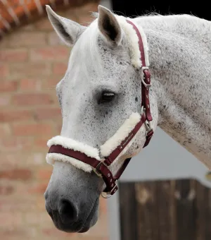 Techno Wool Lined Head Collar Burgundy