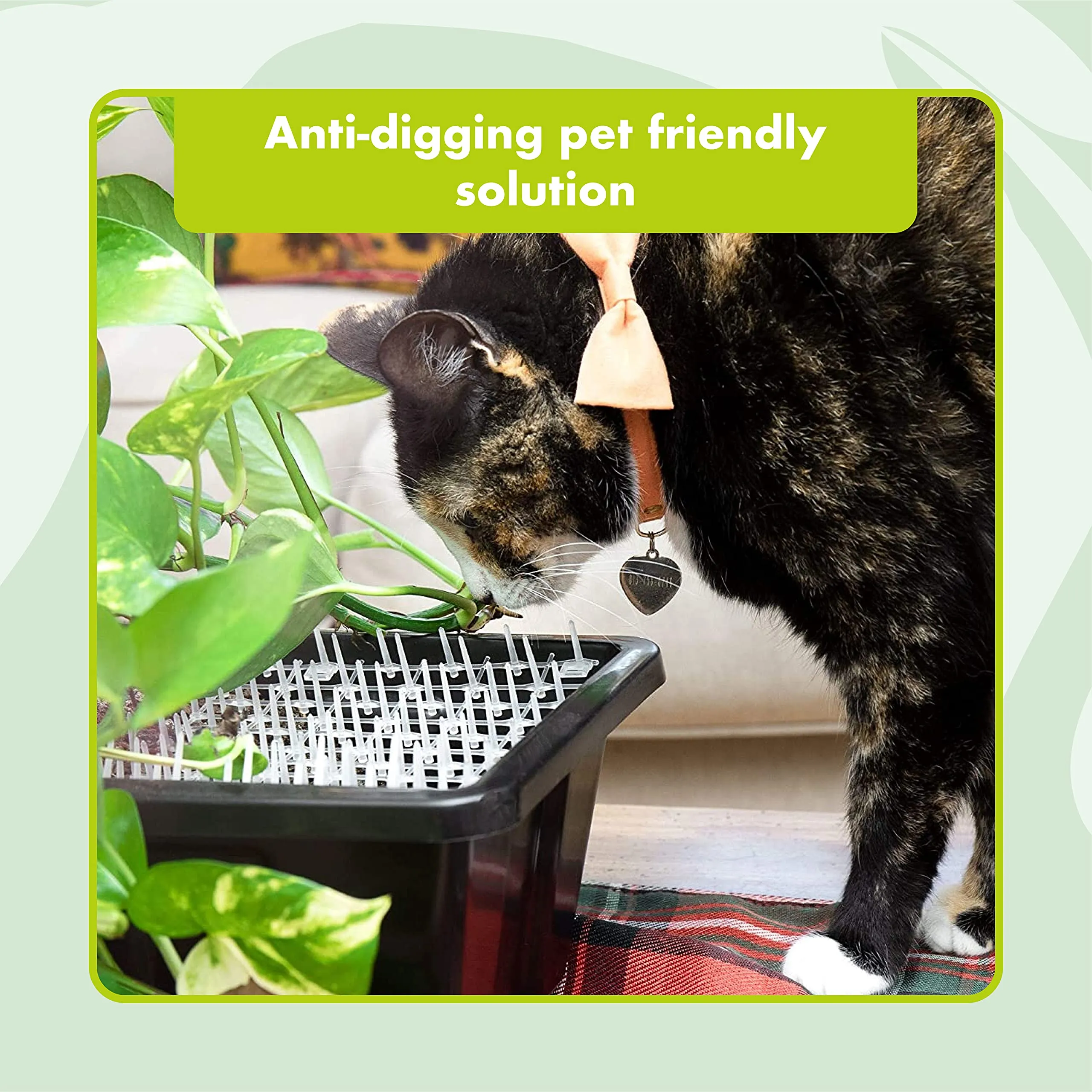 Transparent Outdoor Training Mat For Cats (6.5 Ft) - Deterrent Mats For Pets - IndoorOu